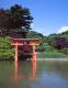 Brooklyn Botanic Garden, Japanese Hill-and-Pond Garden 1